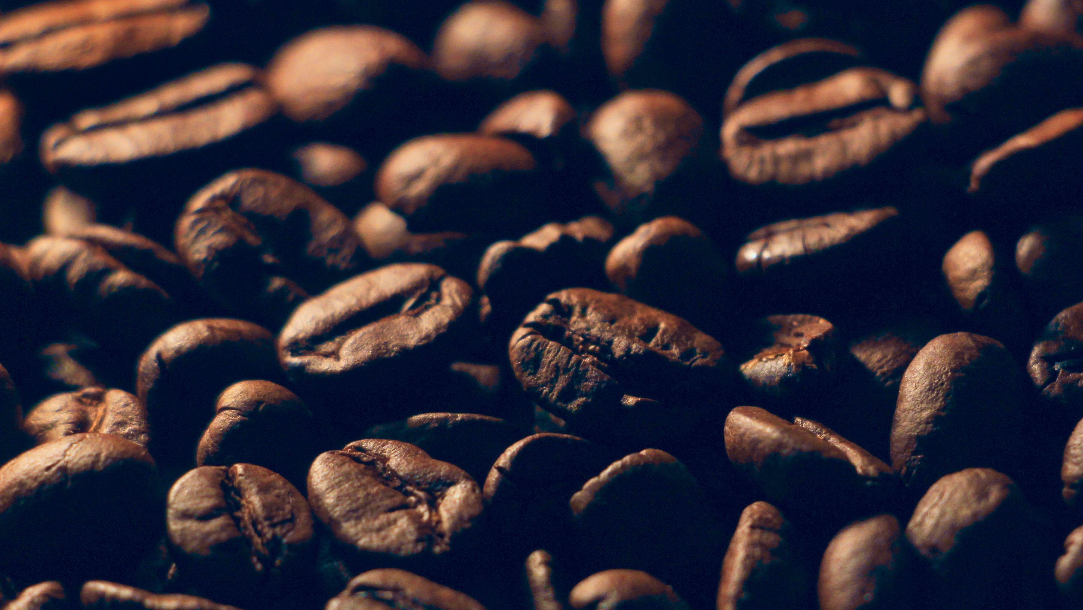 NØRISH — The Coffee Knowledge Center