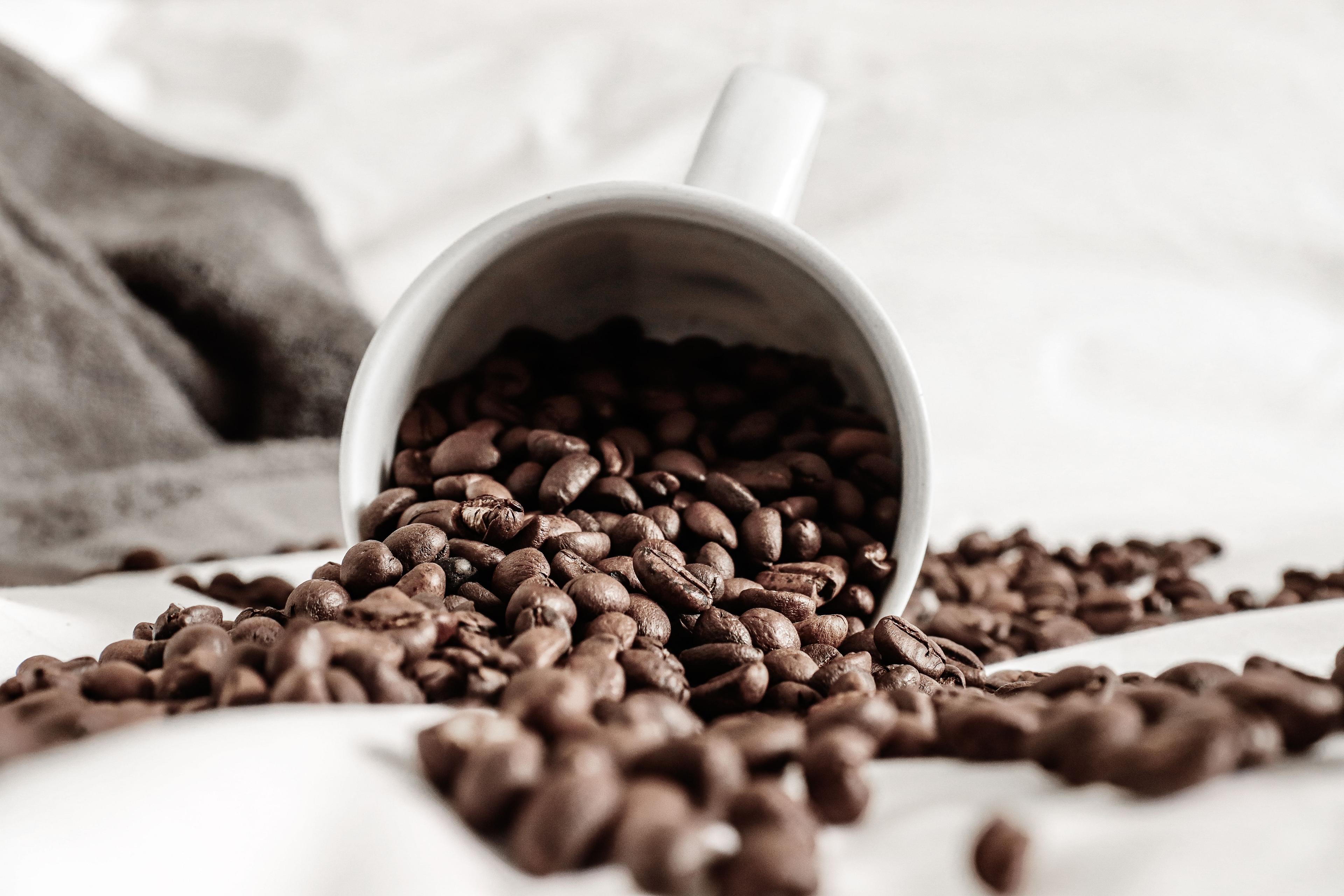 Roasted coffee beans spilling from a white mug onto a linen surface