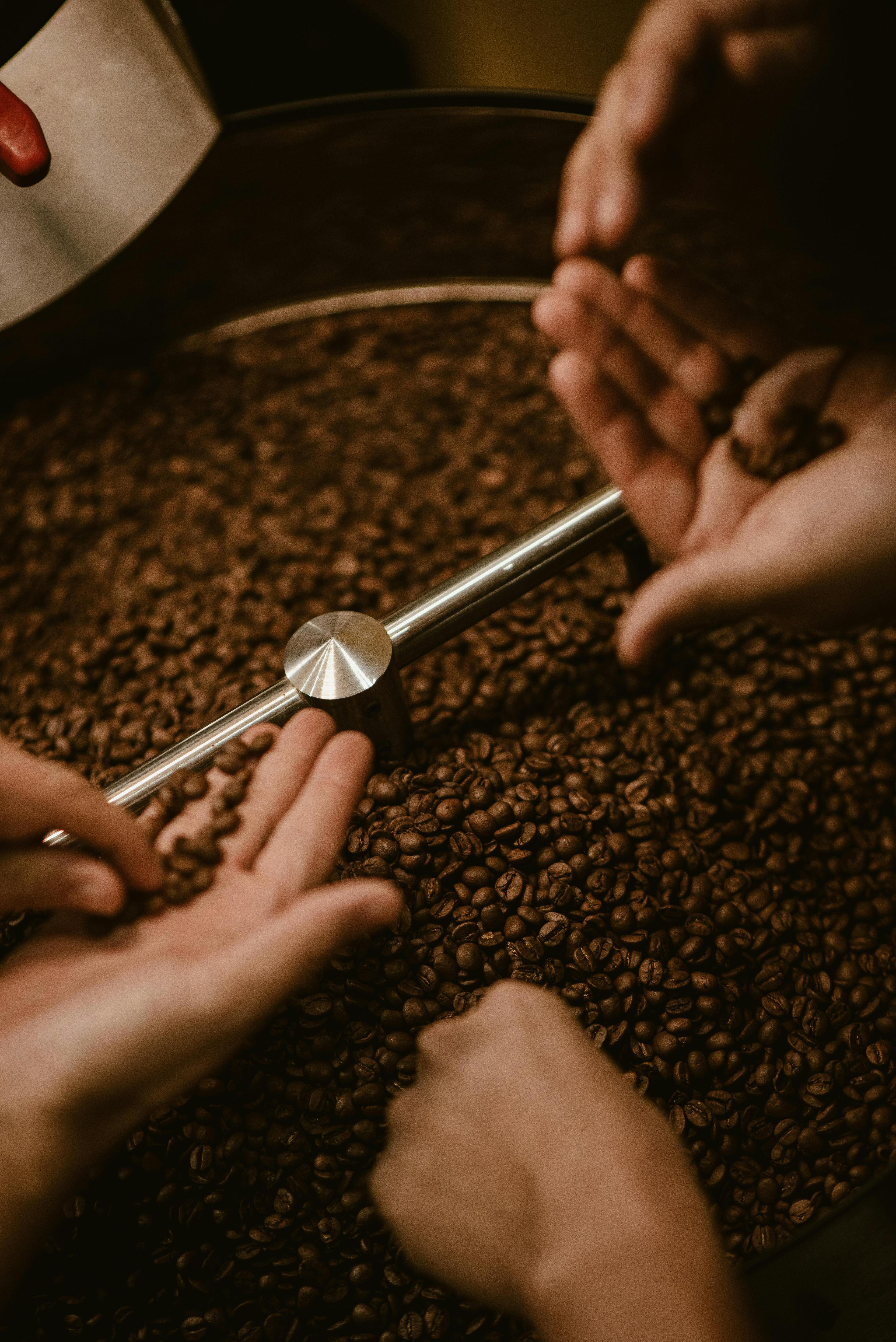 Coffee beans being roasted