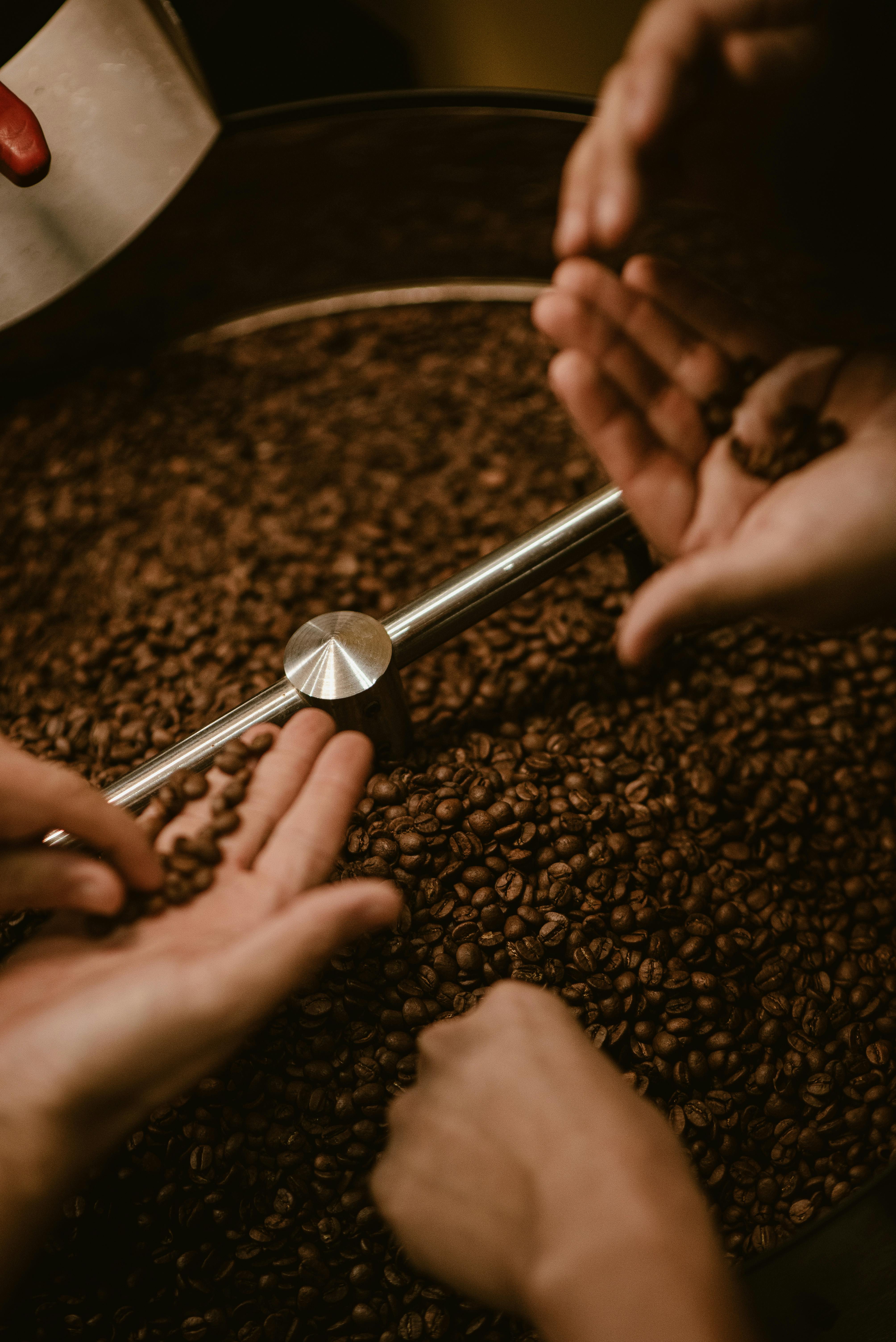 Coffee beans being roasted